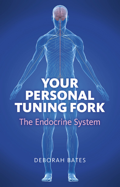 Your Personal Tuning Fork: The Endocrine System