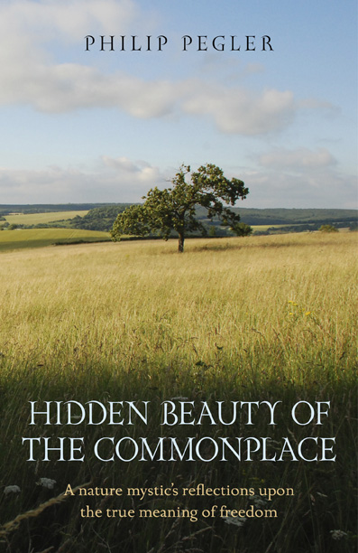 Hidden Beauty of the Commonplace