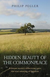 Hidden Beauty of the Commonplace by Philip Pegler
