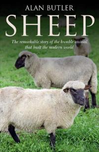 Sheep by Alan Butler