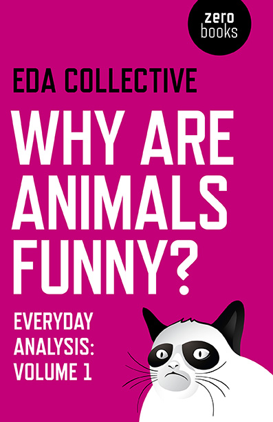 Why are Animals Funny?