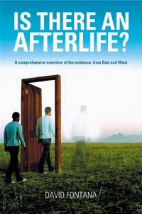 Is There an Afterlife? by David Fontana