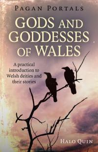 Pagan Portals - Gods and Goddesses of Wales by Halo Quin
