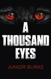 Thousand Eyes, A by Junior  Burke