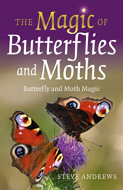 Magic of Butterflies and Moths, The